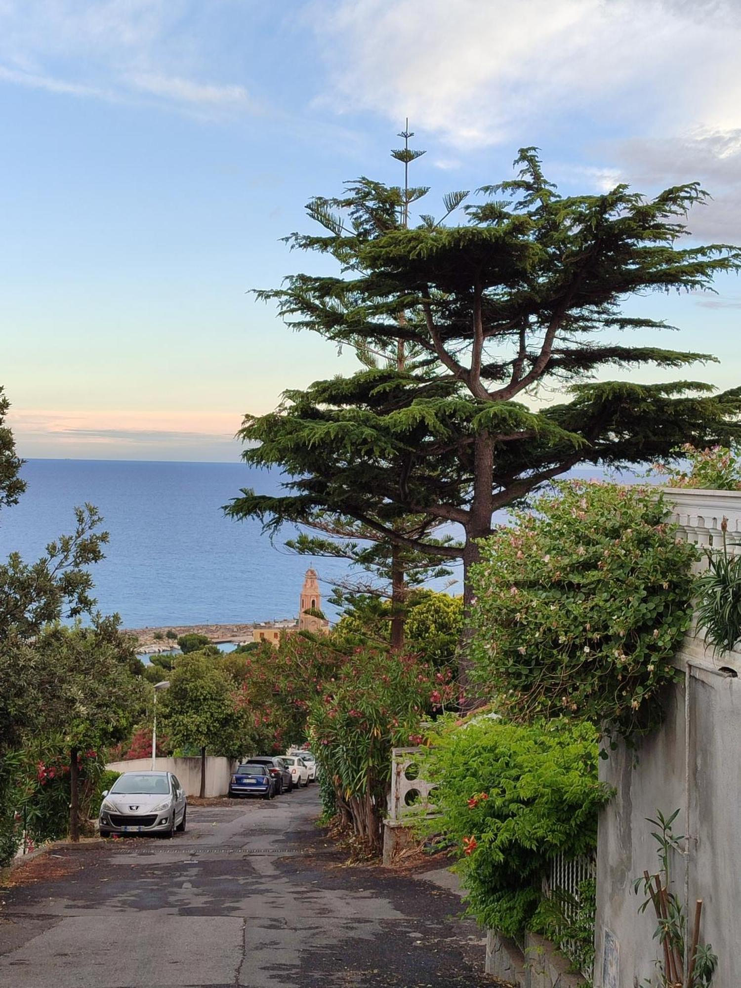Ella Home San Lorenzo al Mare Exteriér fotografie